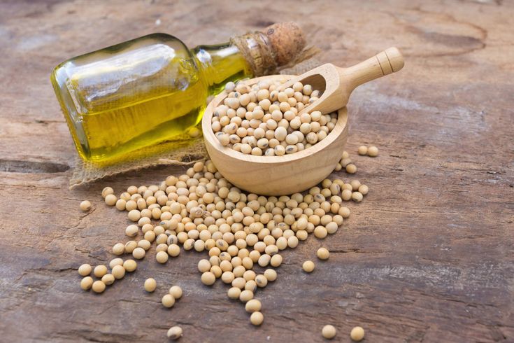 ISO Certified Bulk Iranian Soybean Oil for Armed Forces & Military Catering Services; Competitive Wholesale Prices & Professional Logistics